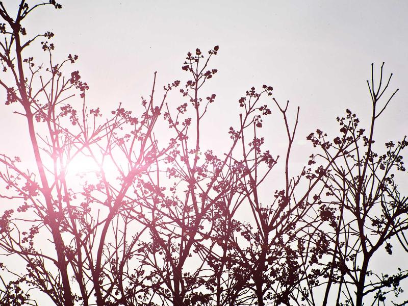 sudoku ios app screenshot 4